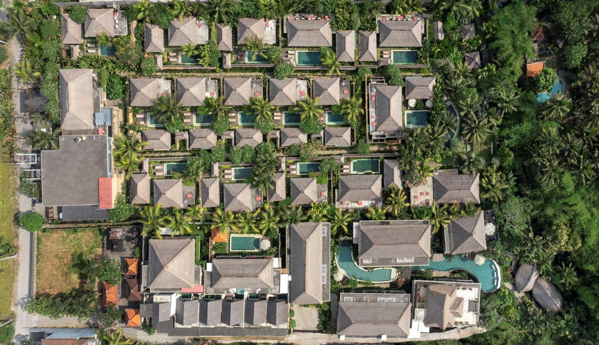 Ubud Nyuh Bali Resort & Spa Dış mekan fotoğraf Aerial view of the resort